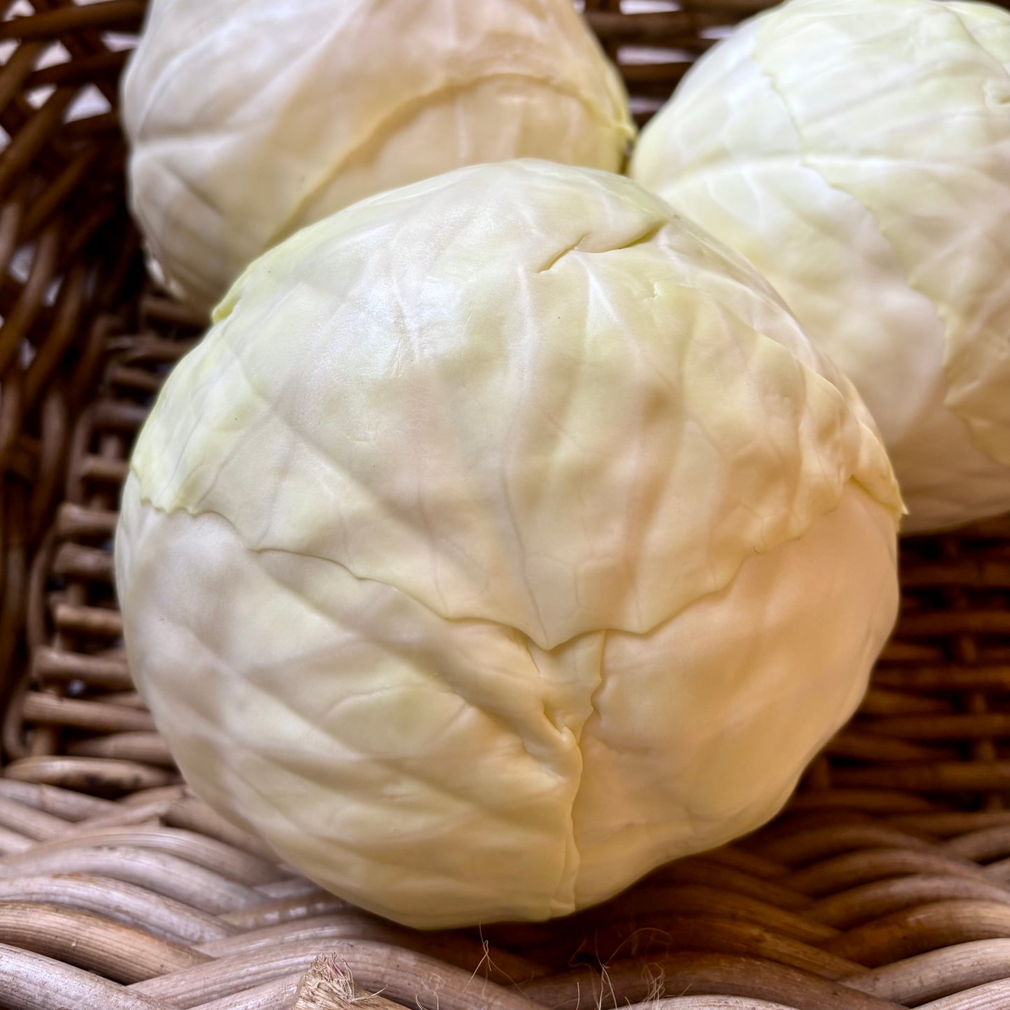 UK White Cabbage