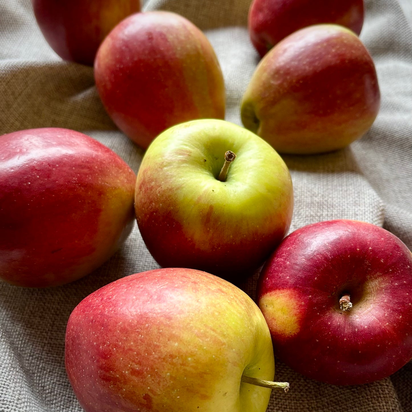 Braeburn Apples (4x)