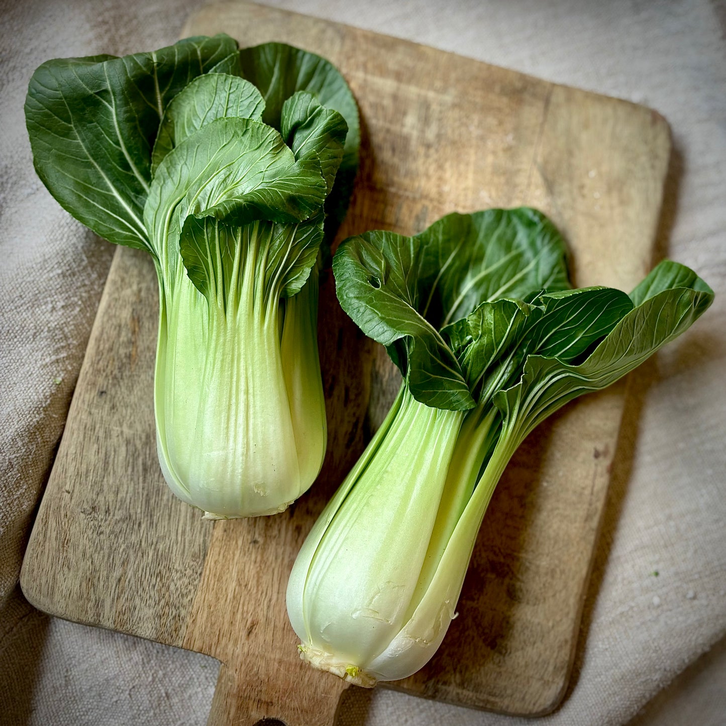 Pak Choi