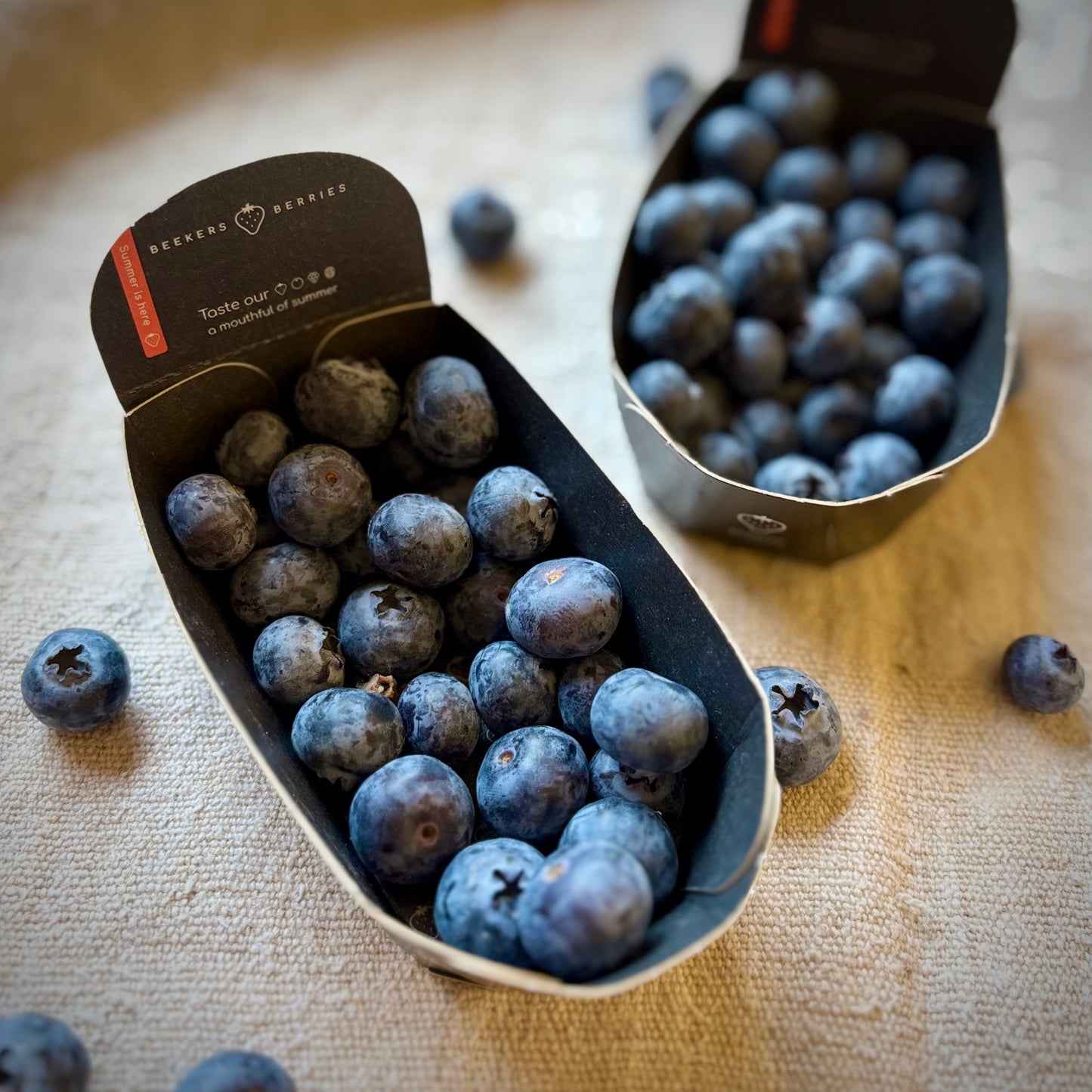 Blueberries