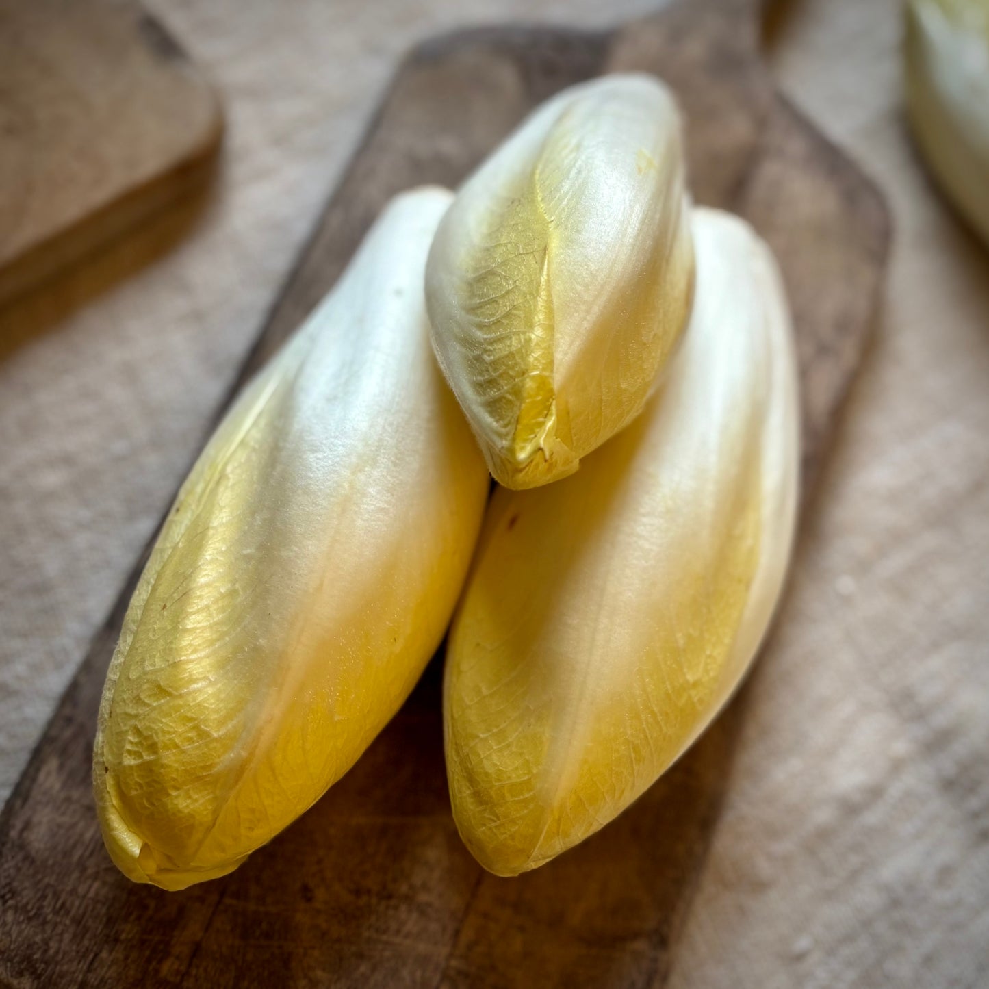 Chicory (Unavailable)