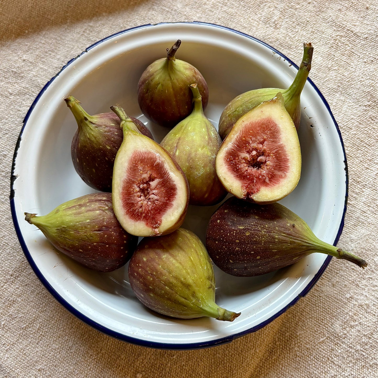 Large Fresh Figs