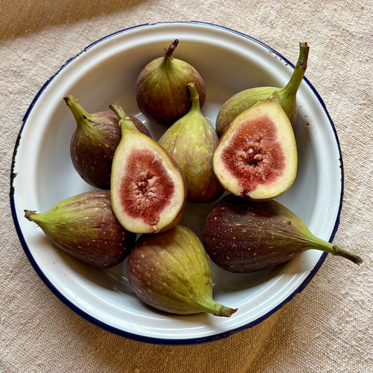 Large Fresh Figs