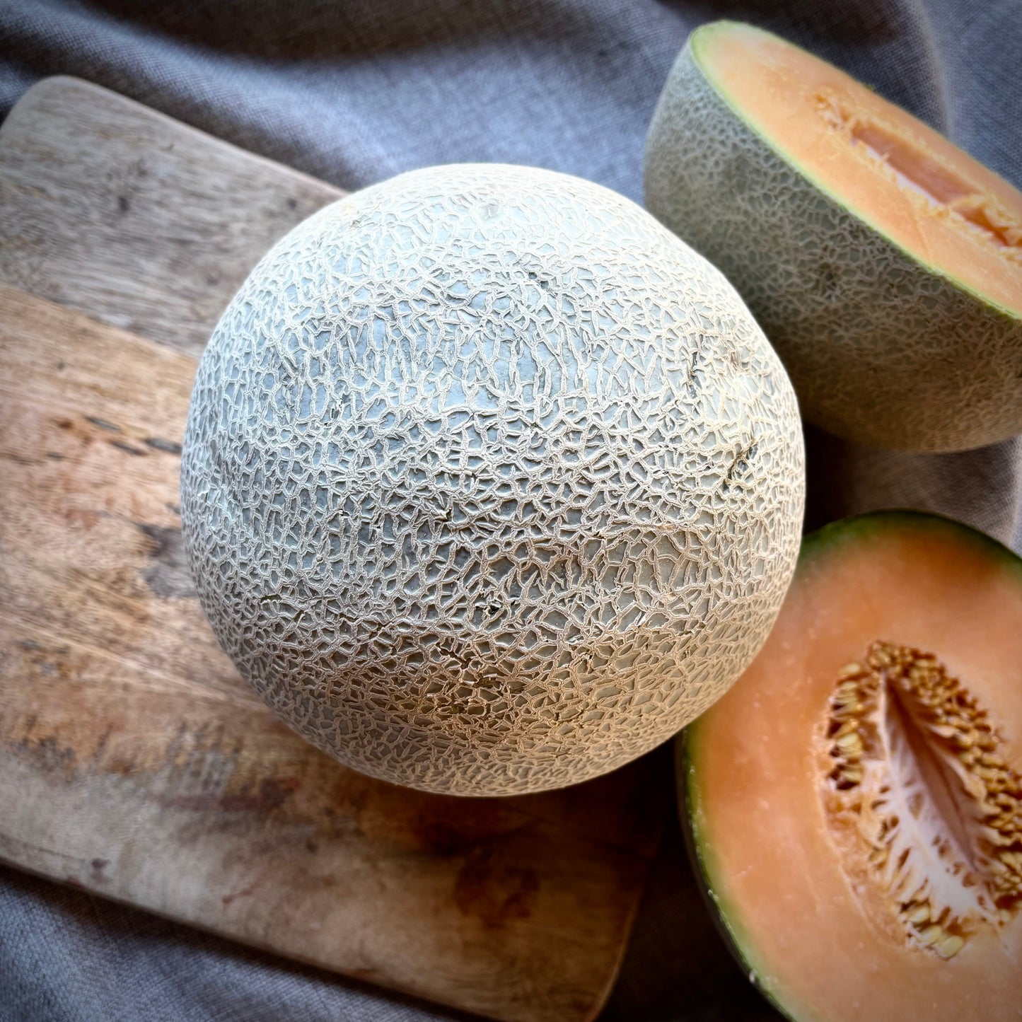 Cantaloupe Melon
