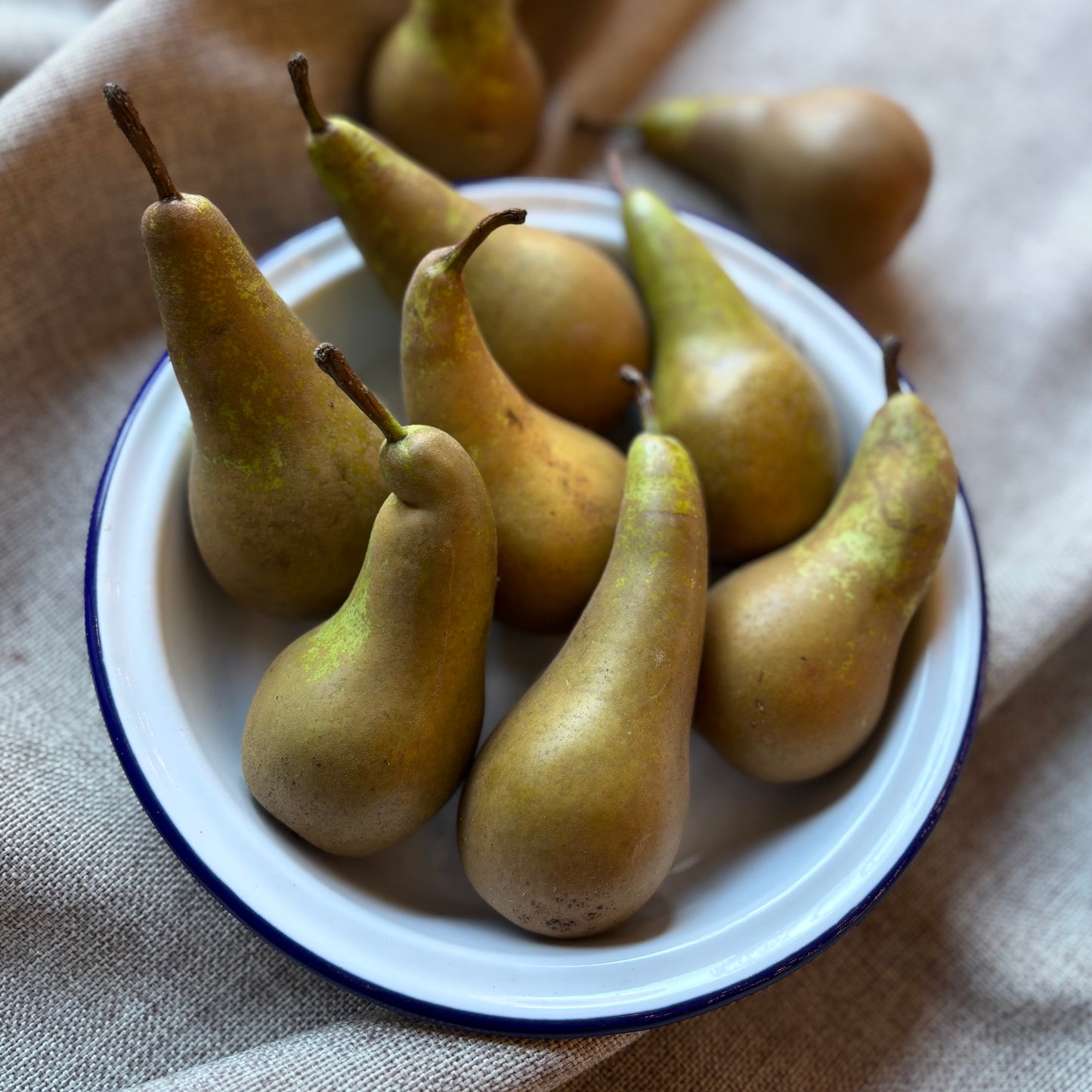 Conference Pears (4x)