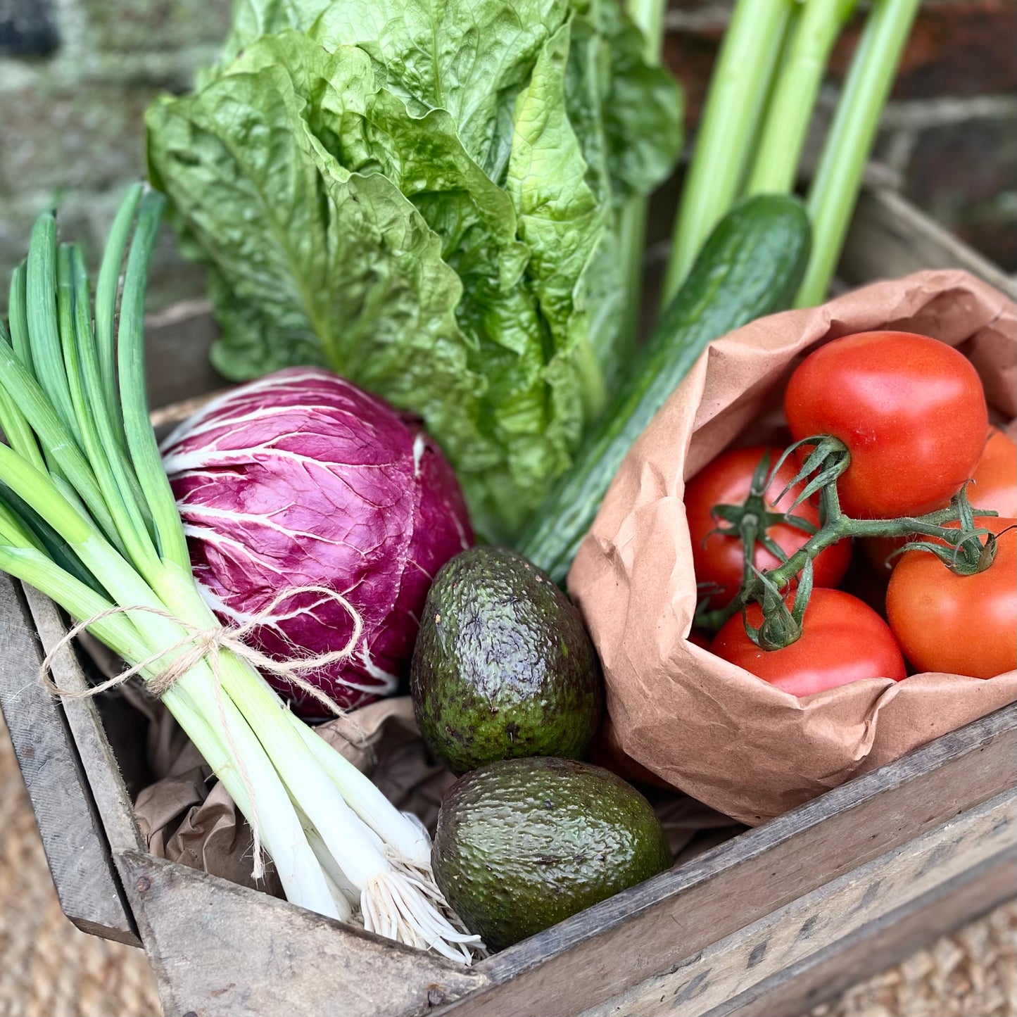 All Salad Box