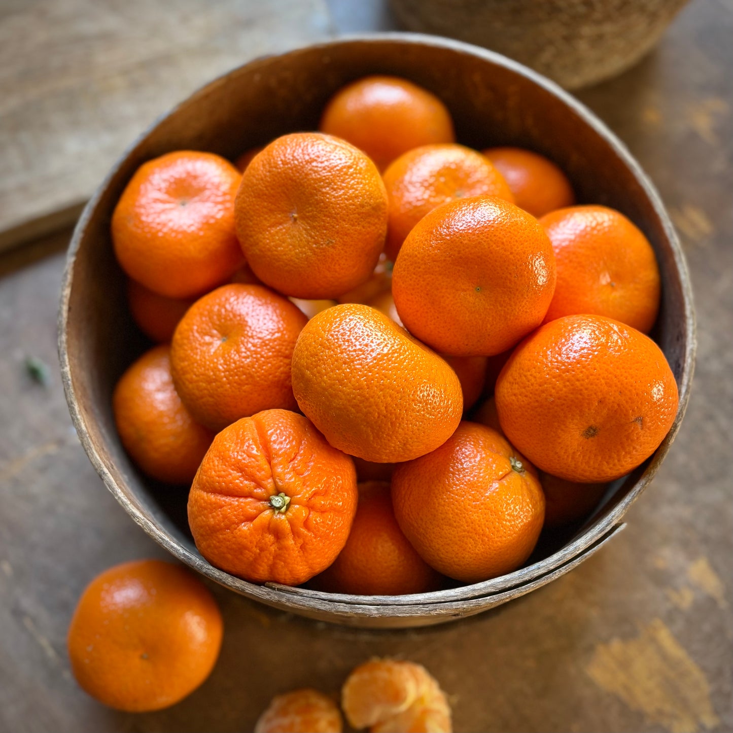 Nadorcotts (Out Of Seasn)