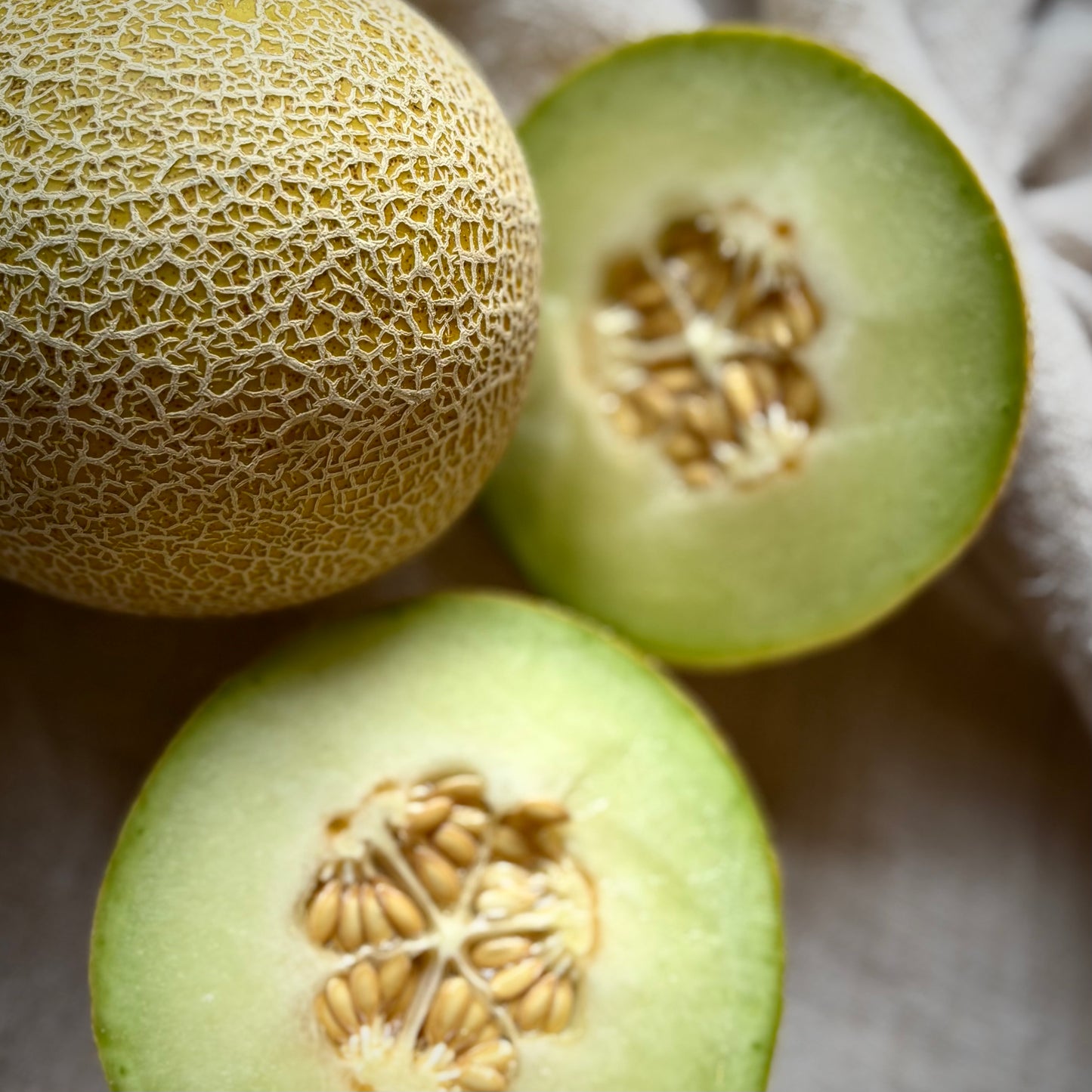 Galia Melon