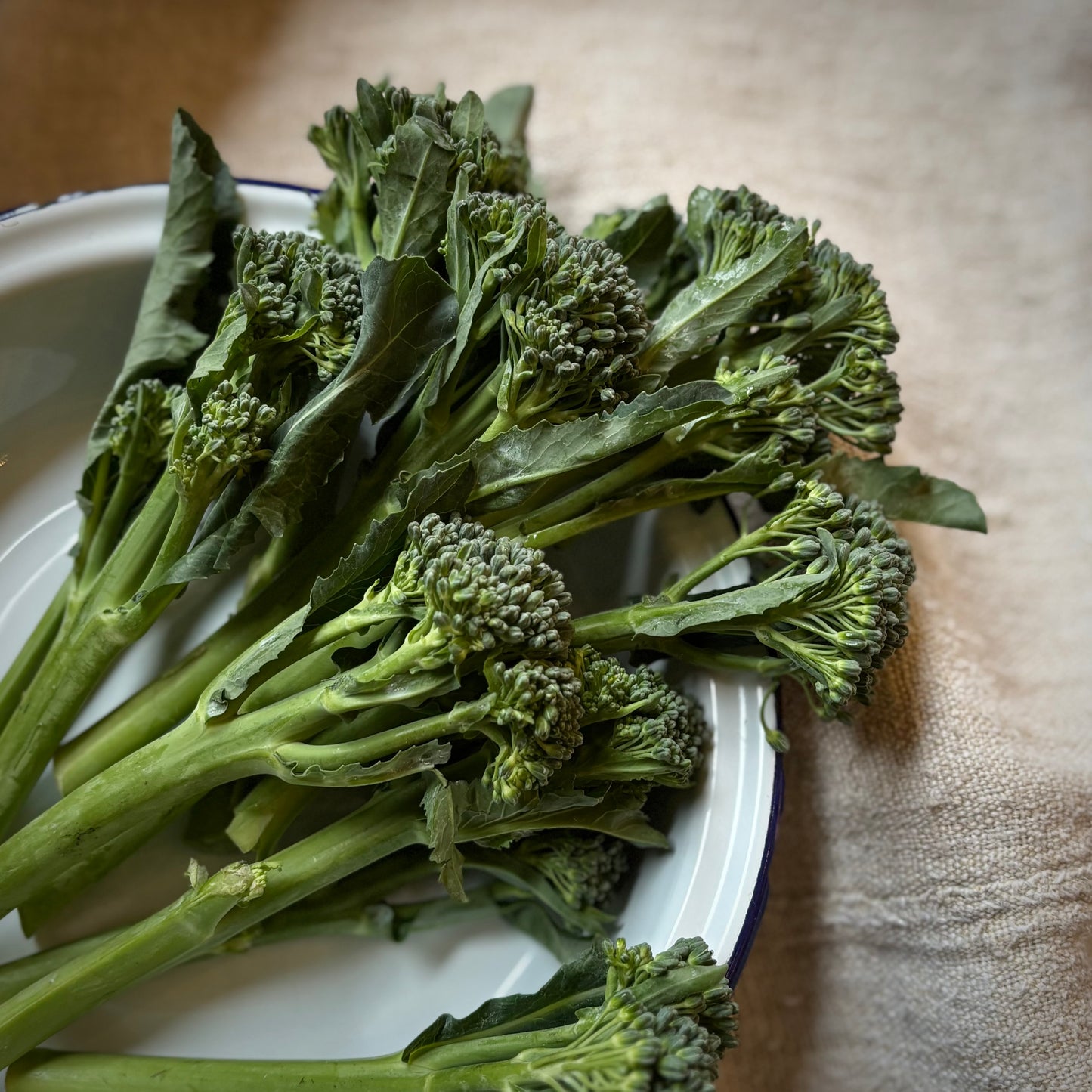 Tenderstem Broccoli
