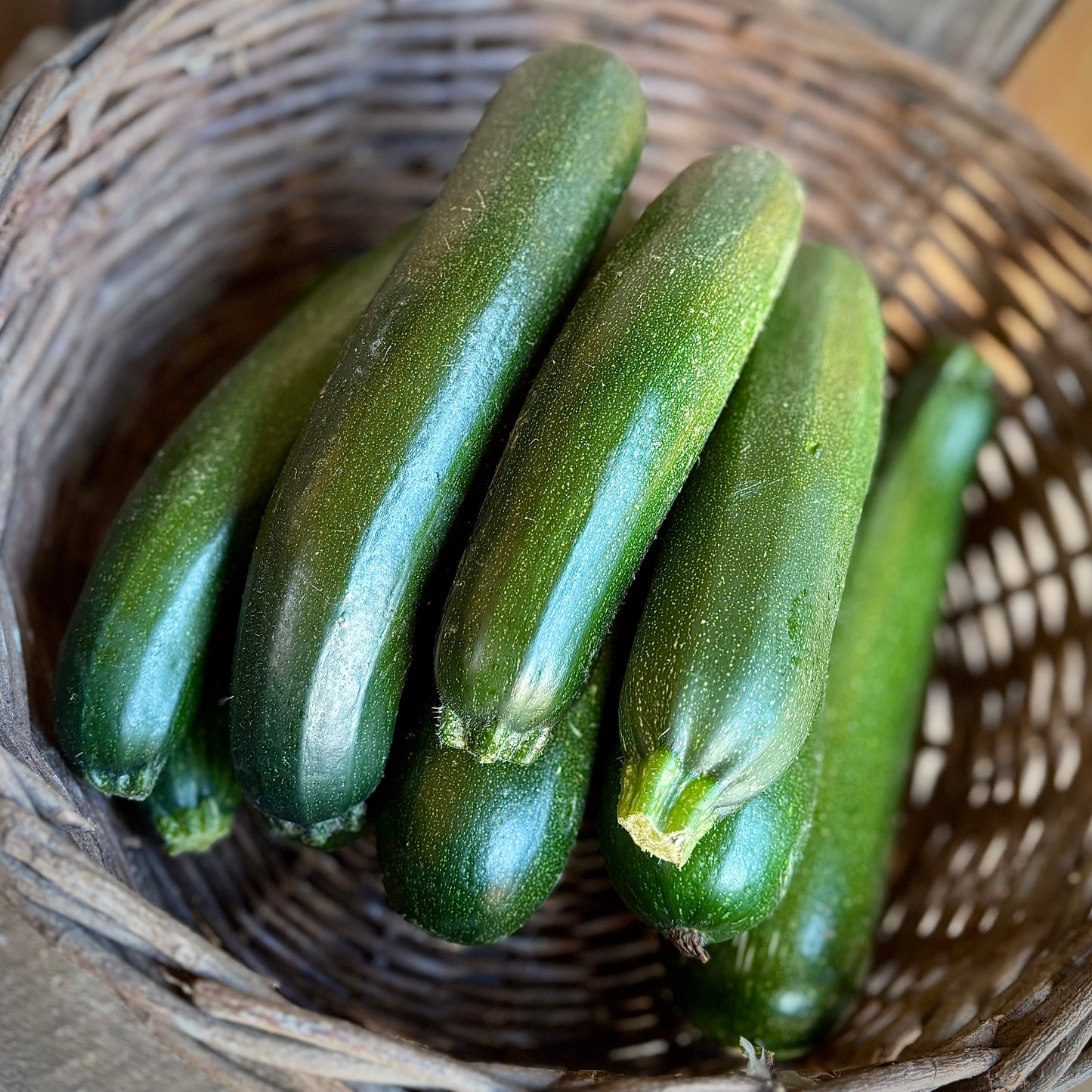 Courgette - Green