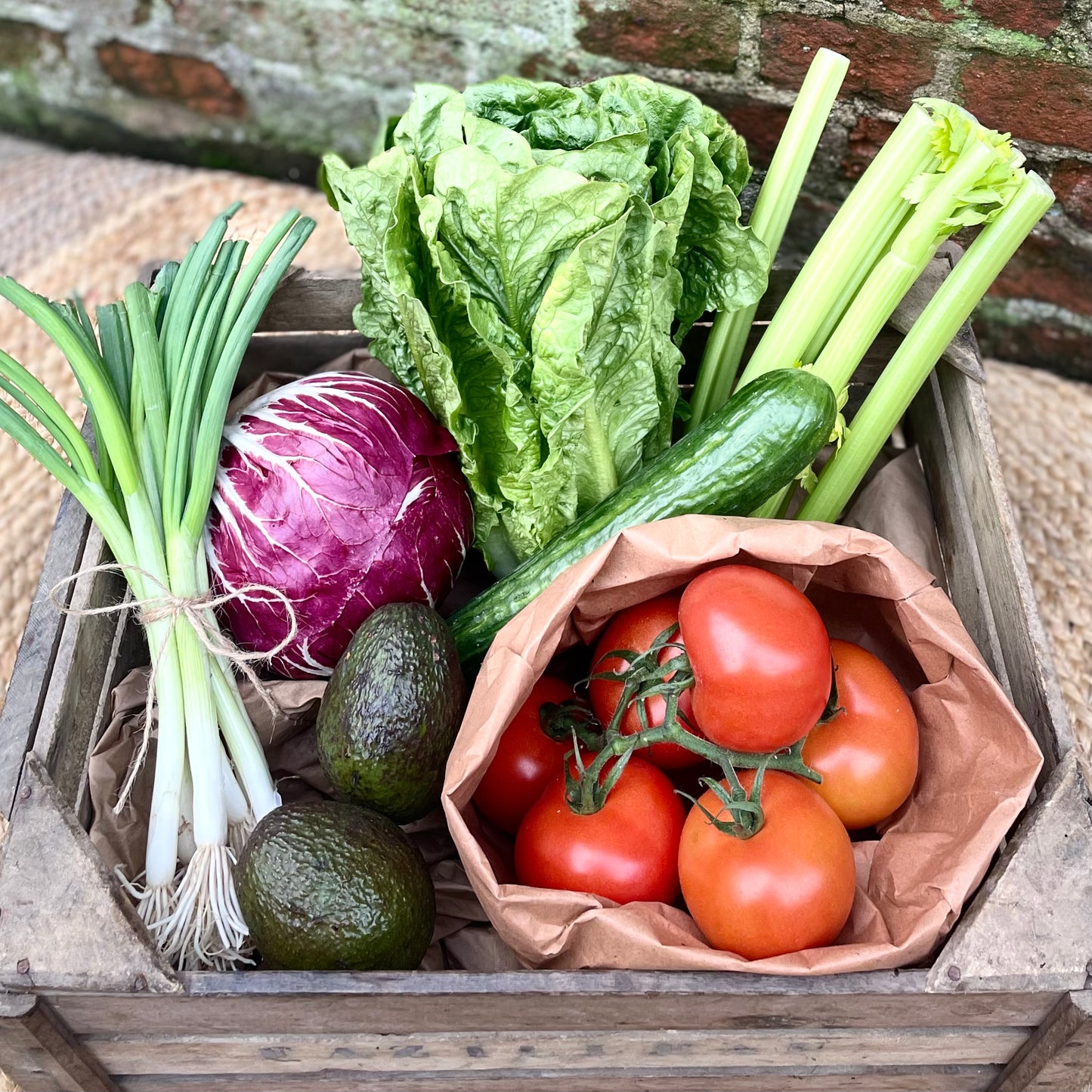 All Salad Box