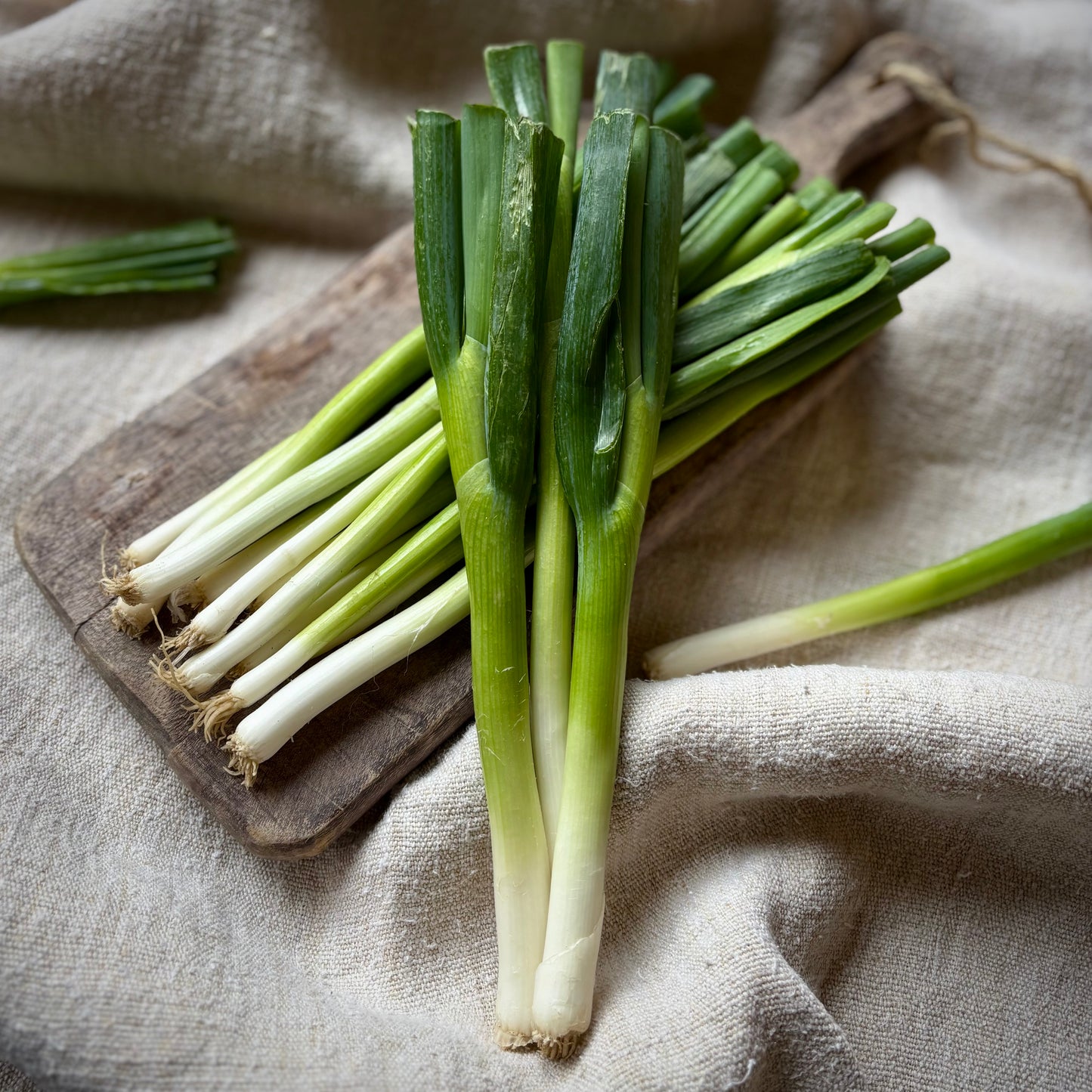 Spring Onions