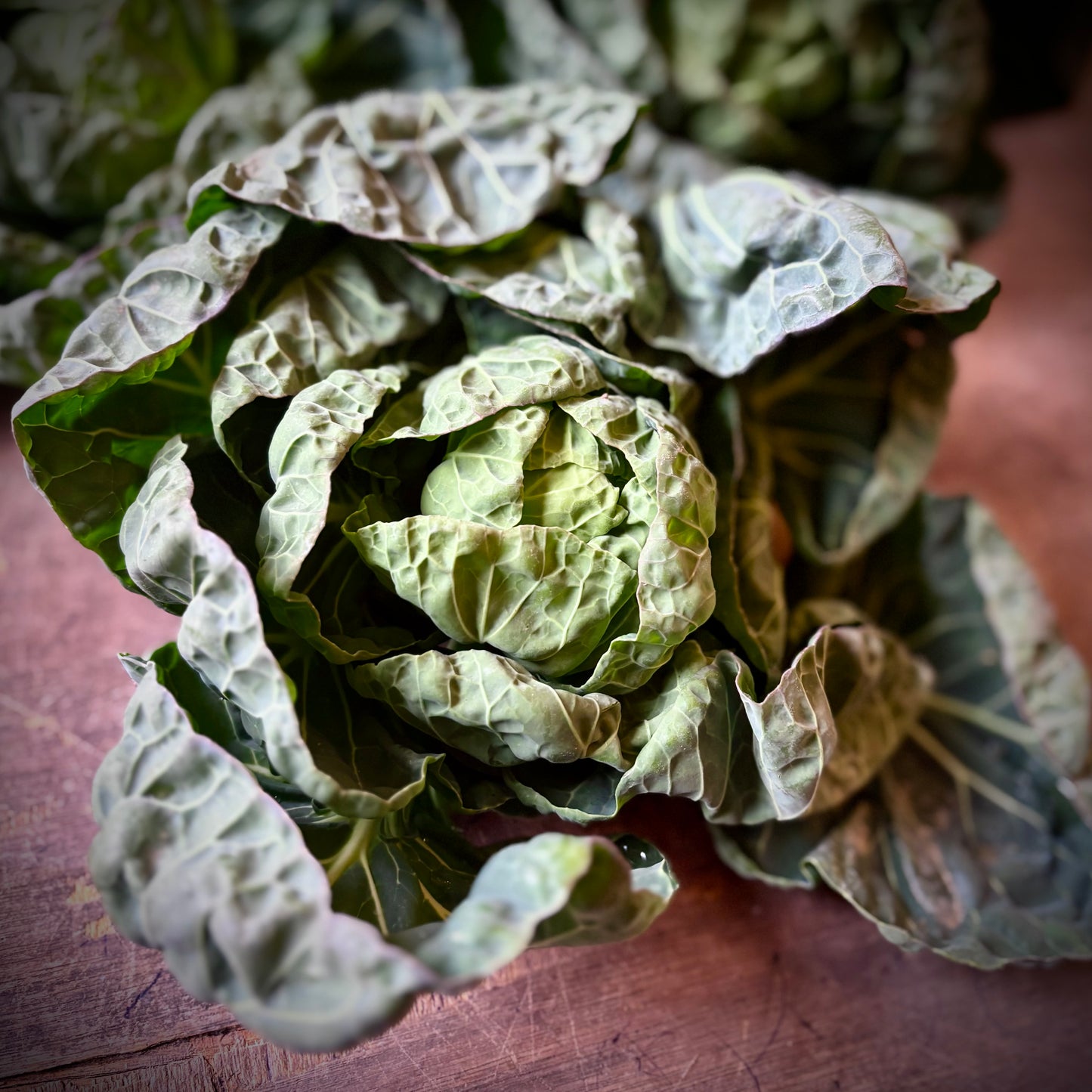 UK Sprout Tops (Out Of Season)