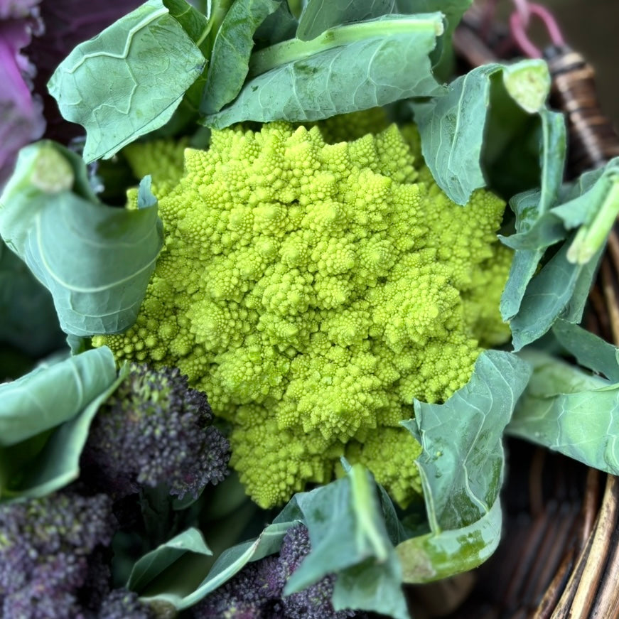 UK Romanesco Cauliflower (Unavailable)