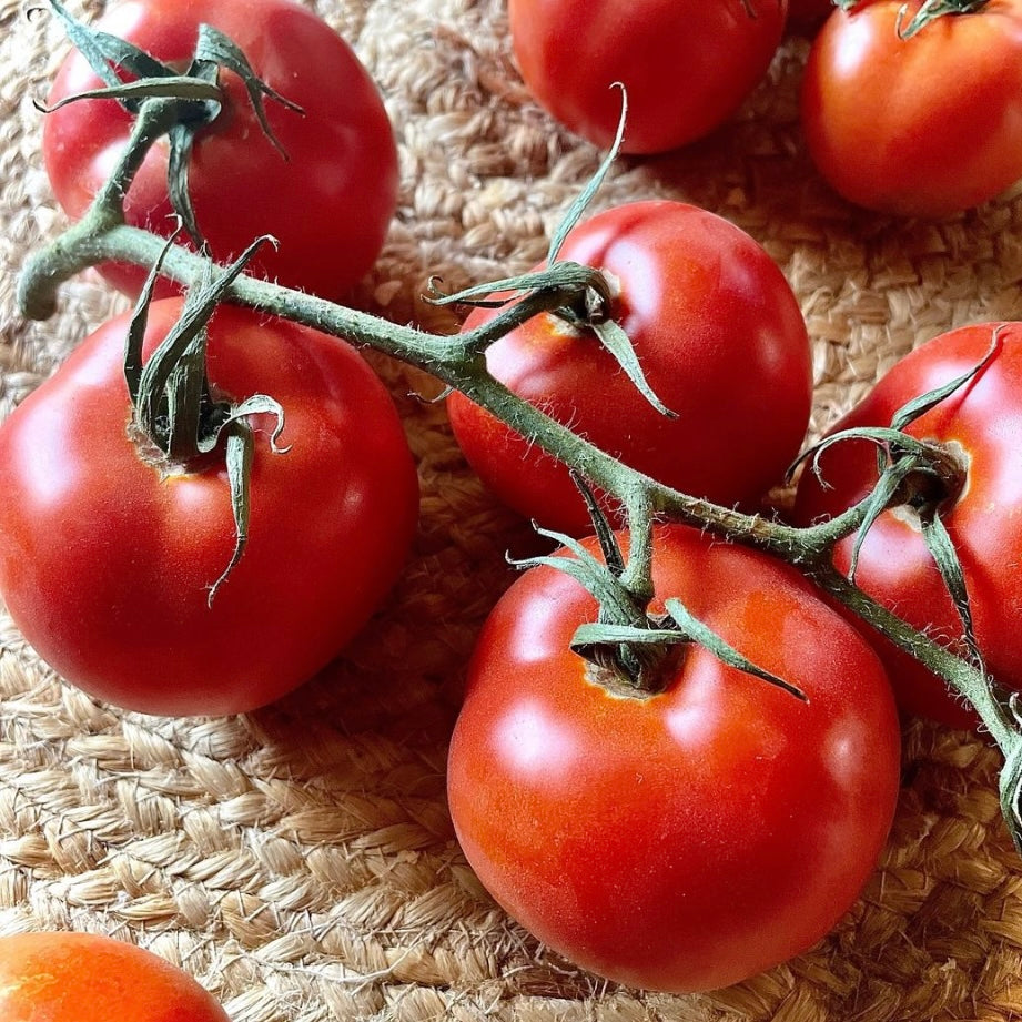 Vine Tomatoes