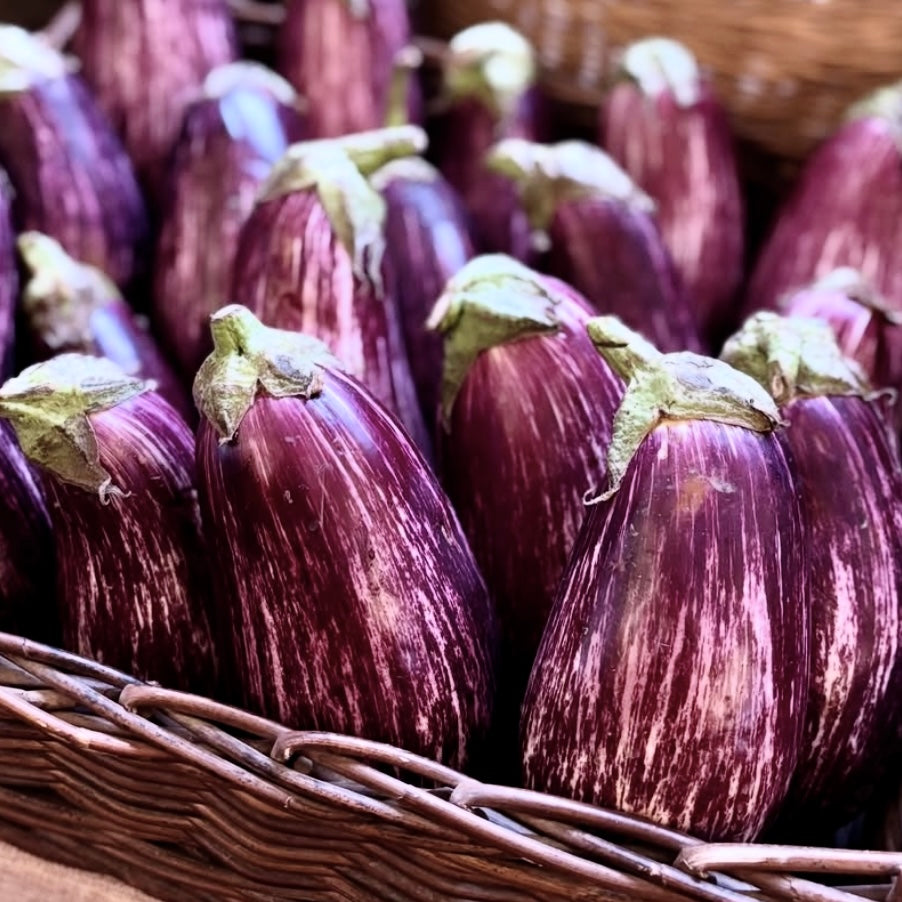 Graffiti Aubergines