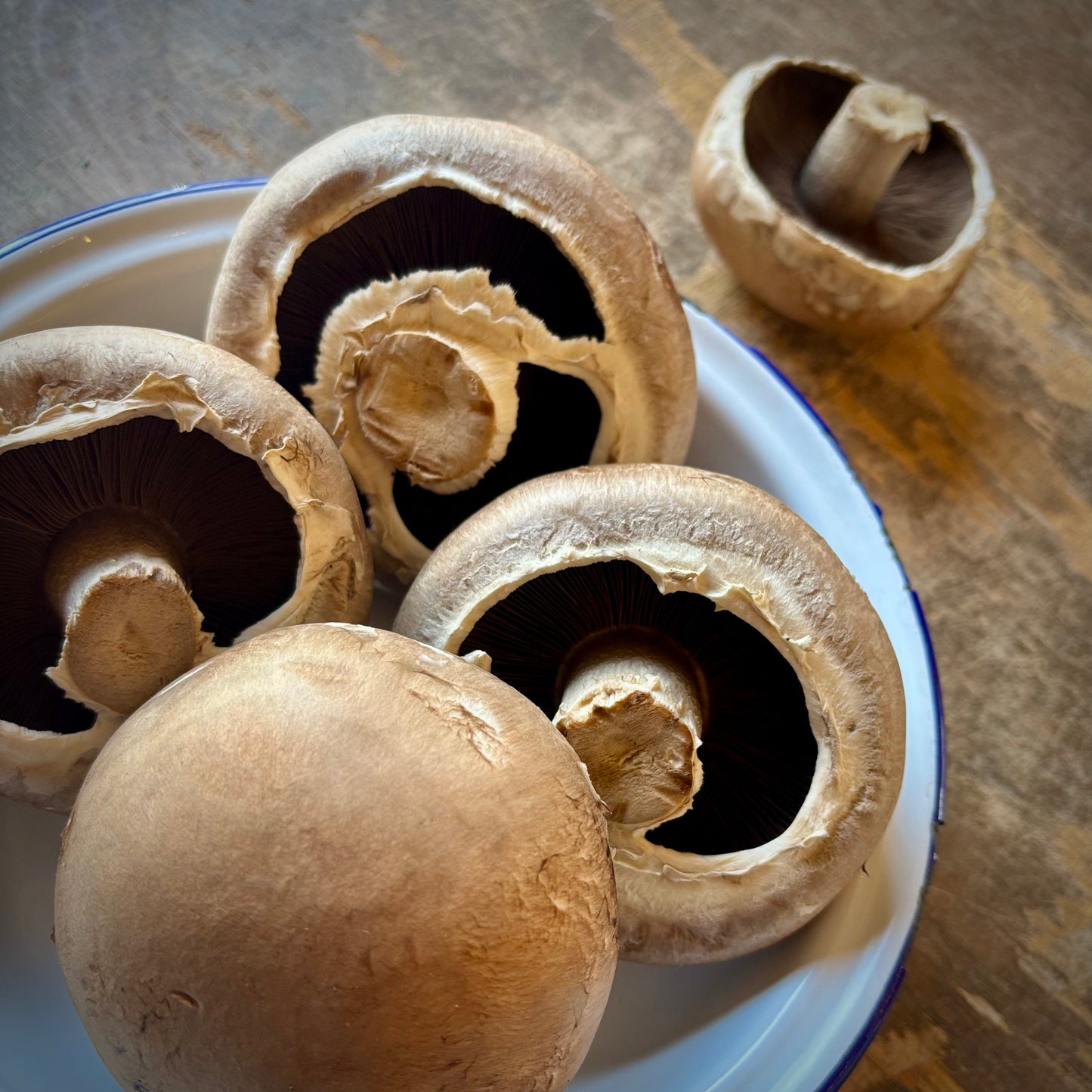 Portobello Mushrooms