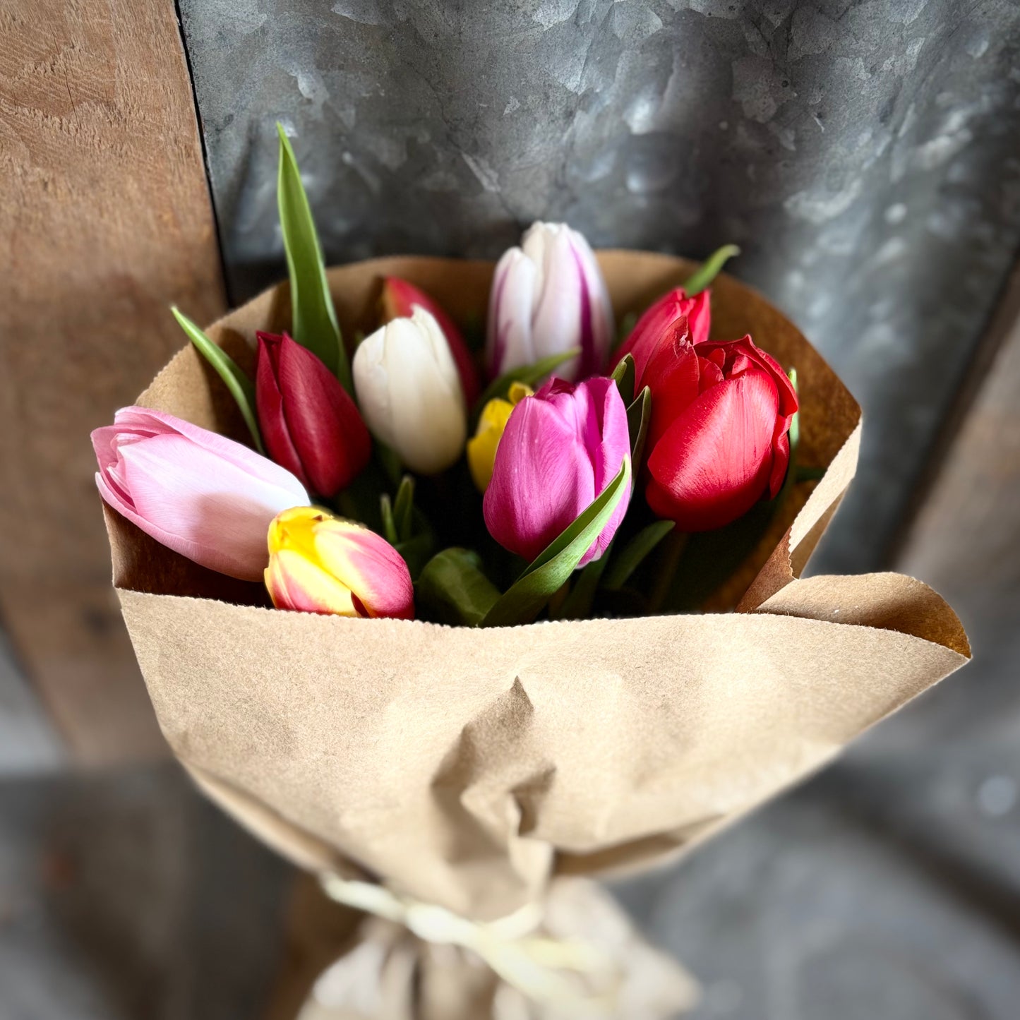 Mixed Dutch Tulips