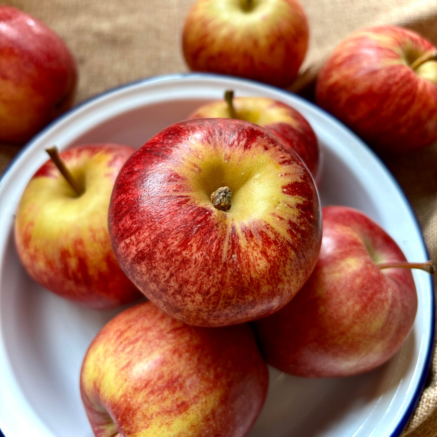 Gala Apples