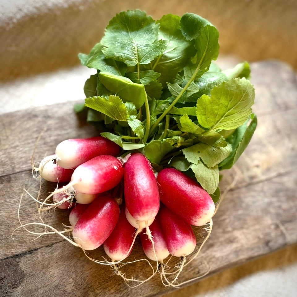 Radish (Unavailable)