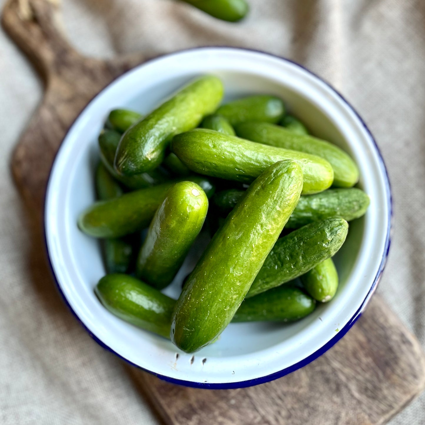 UK Mini Cucumbers (Out Of Season)
