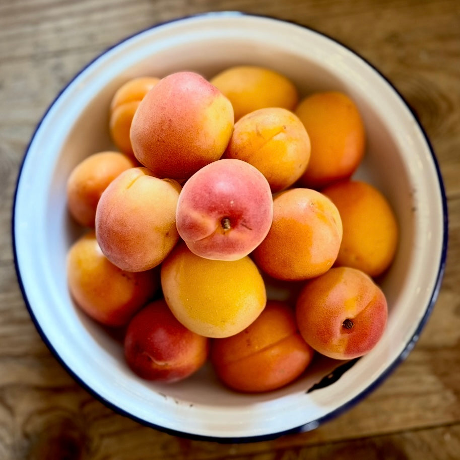 Apricots (Out Of Season)