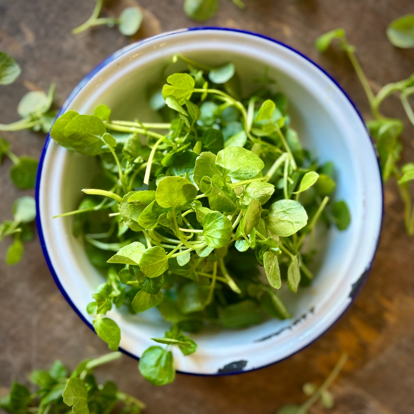 Watercress )To Order)