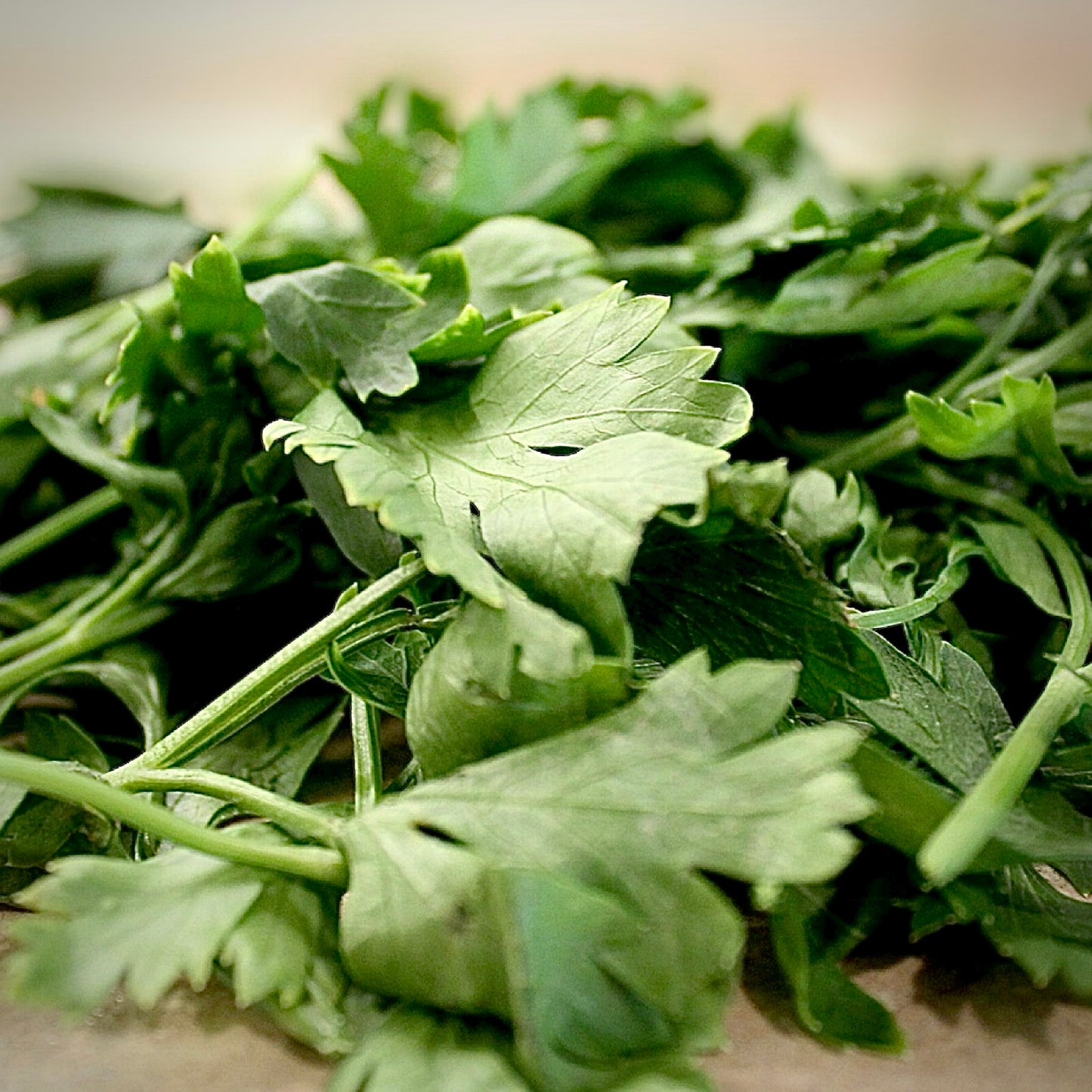 Flat Leaf Parsley