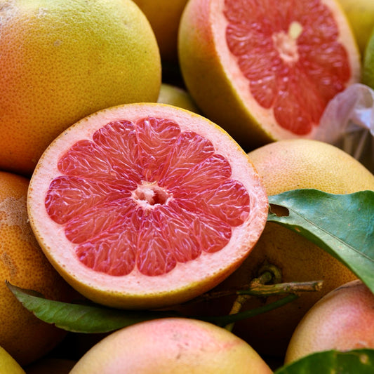 Ruby Grapefruit