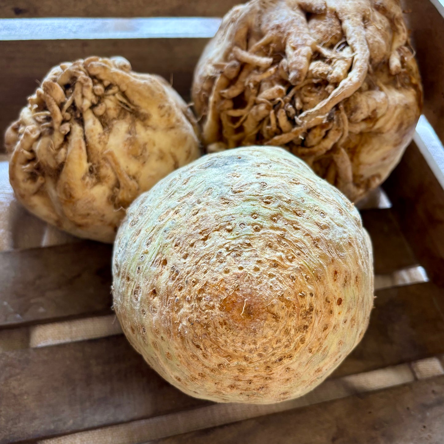 UK Celeriac