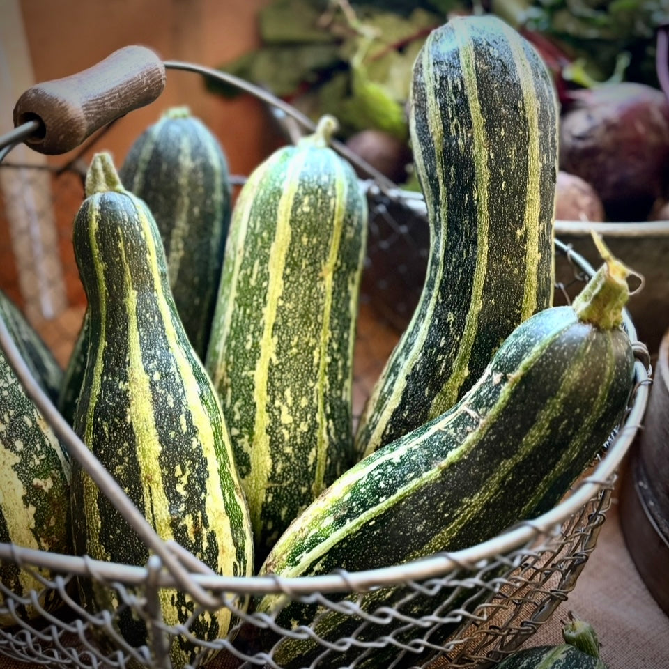 Marrows (Out Of Season)
