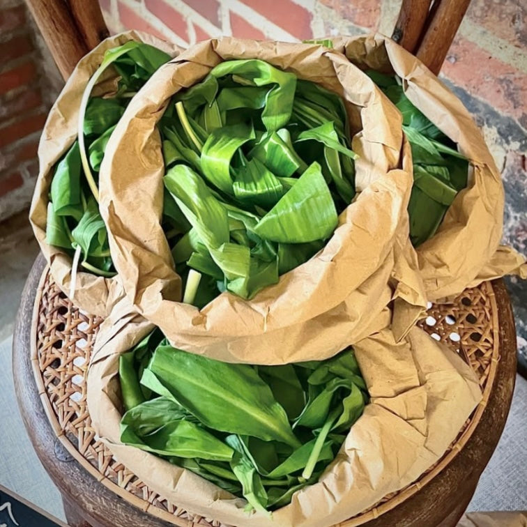 Wild Garlic (Out of Season)