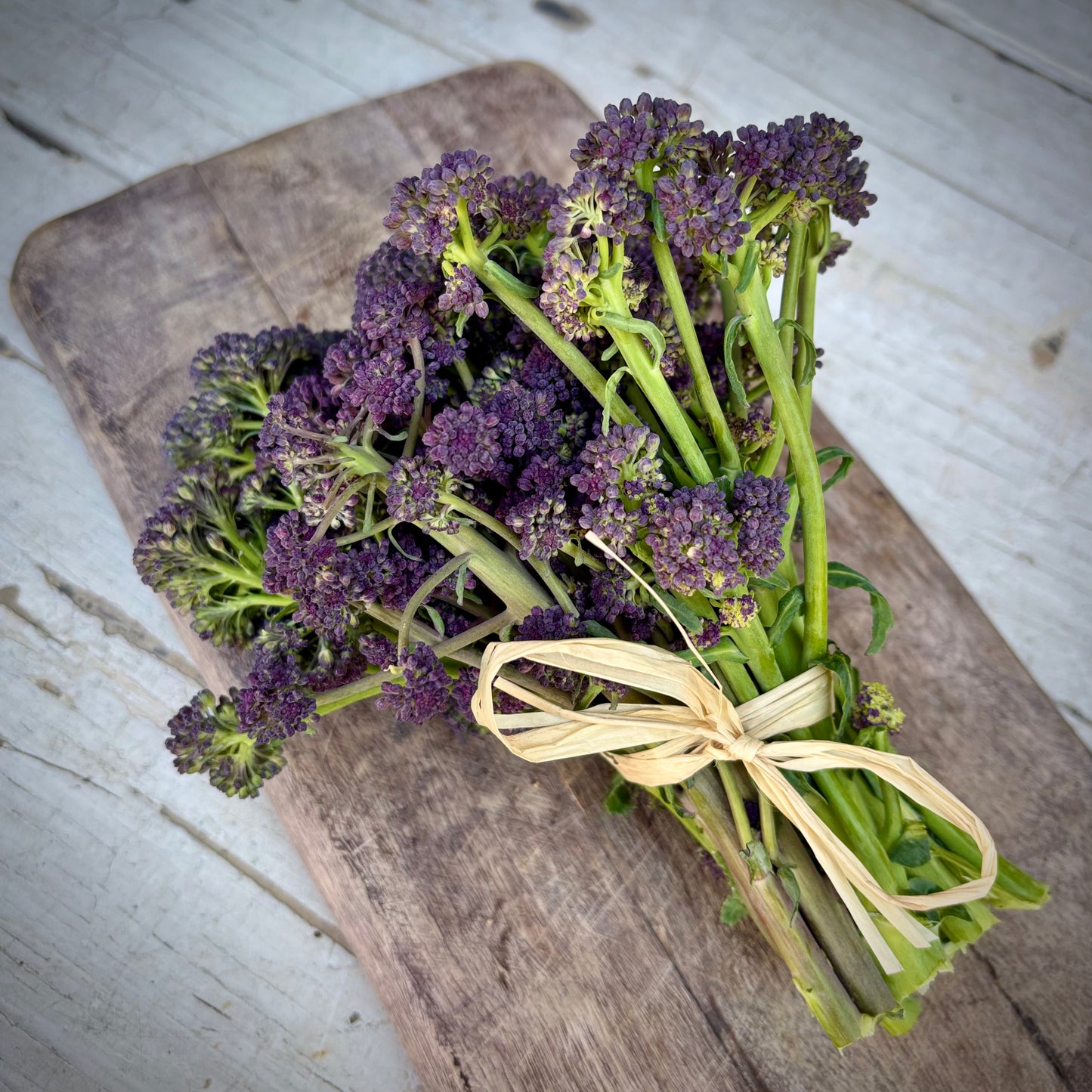 Purple Sprouting Broccoli (Unavailable)