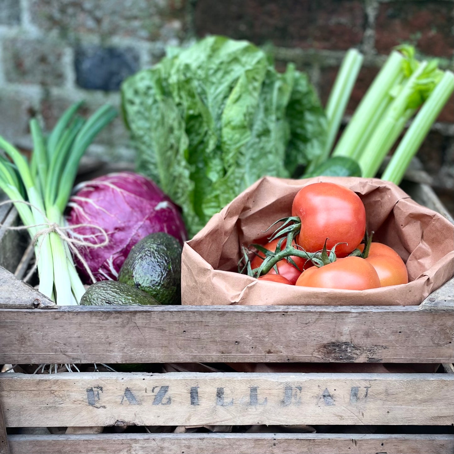 All Salad Box