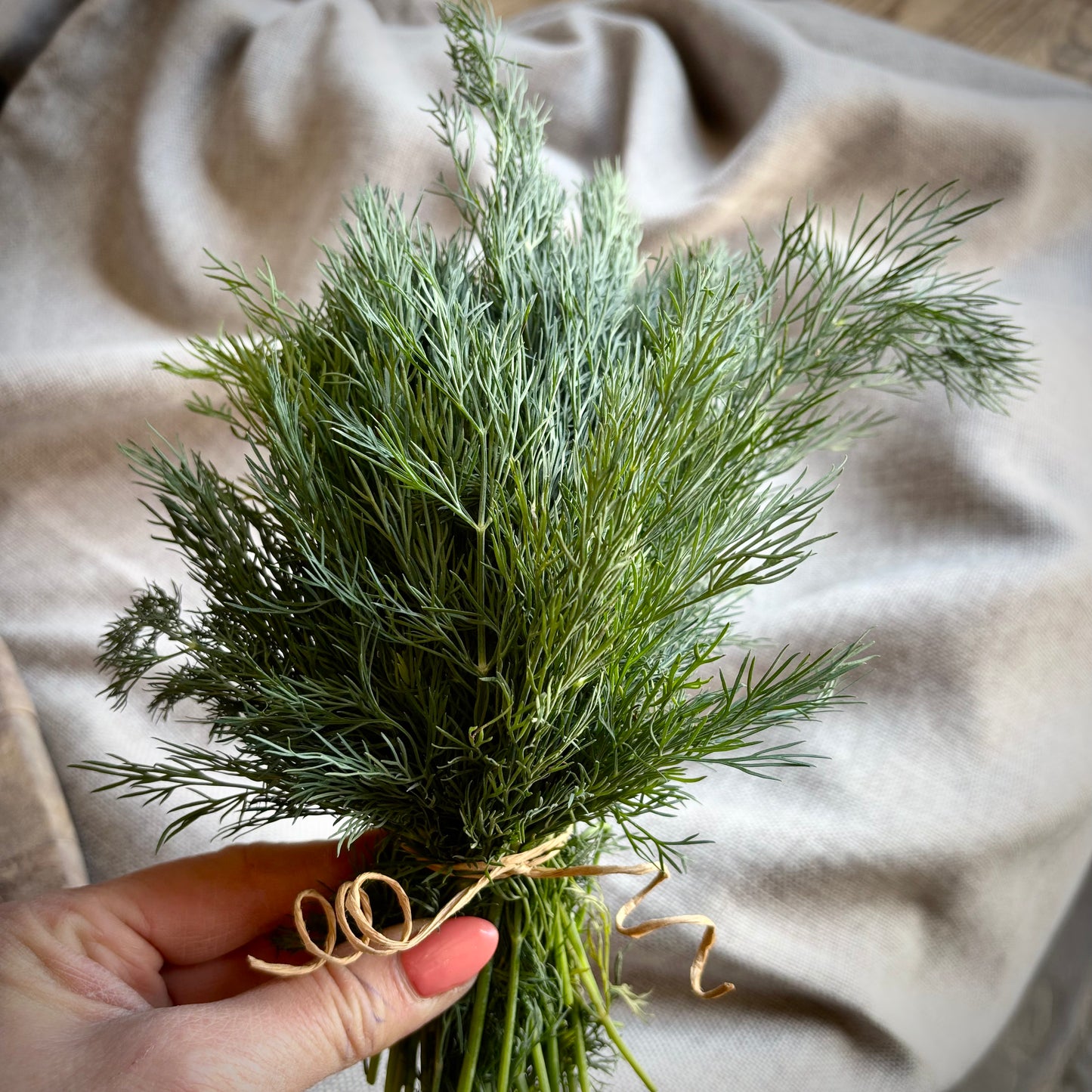 Fresh Dill