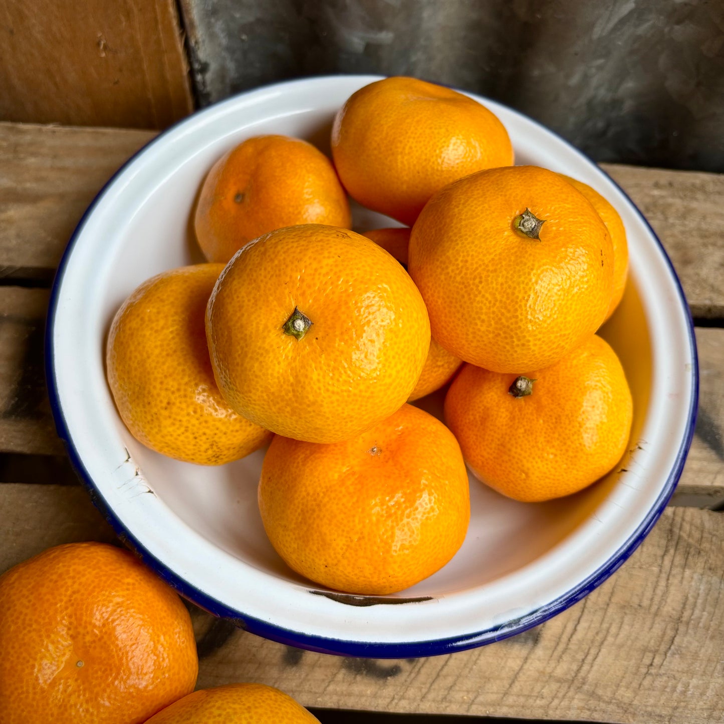 Satsumas (Unavailable)