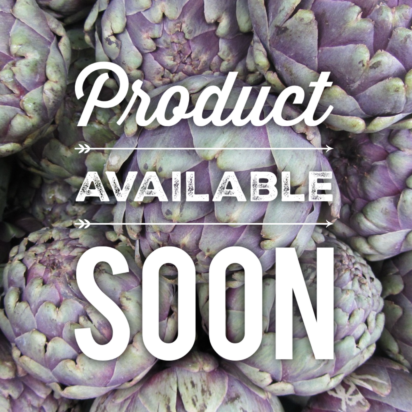 Undercroft Gift Box COMING SOON