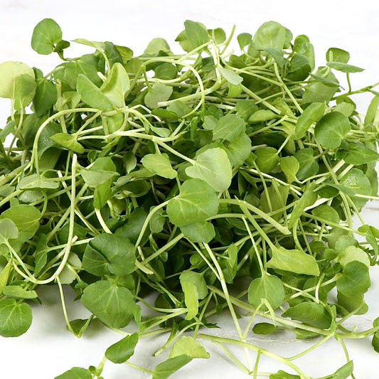 Watercress (Sold Out)