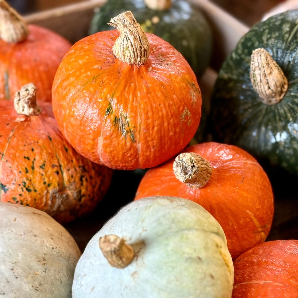 Mixed Local Squash (Out Of Season)