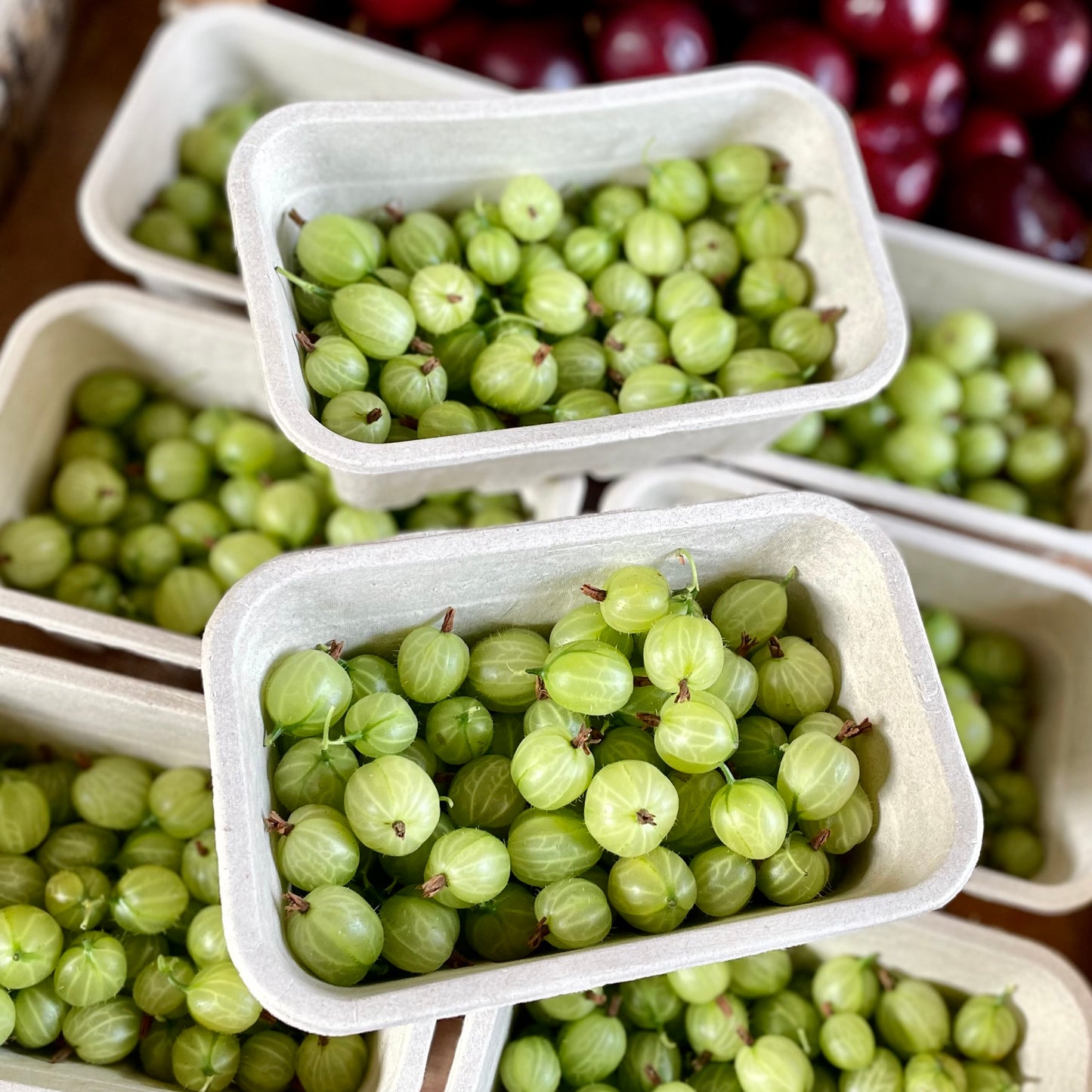 Local Gooseberries (Out Of Season)