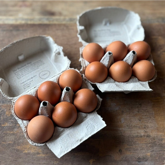 12x Large Free-Range Eggs