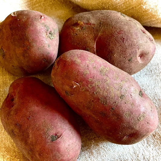 Local Mozart Potatoes - 1kg