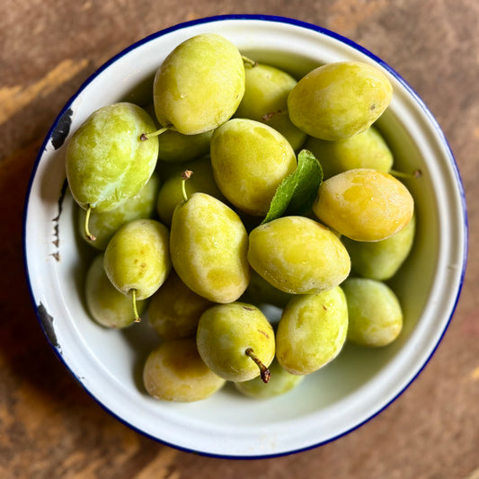 English Yellow Plums