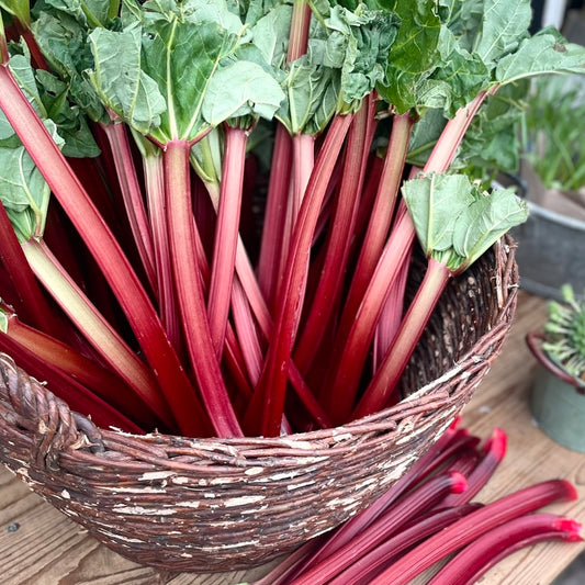 Local Rhubarb (Out Of Season)