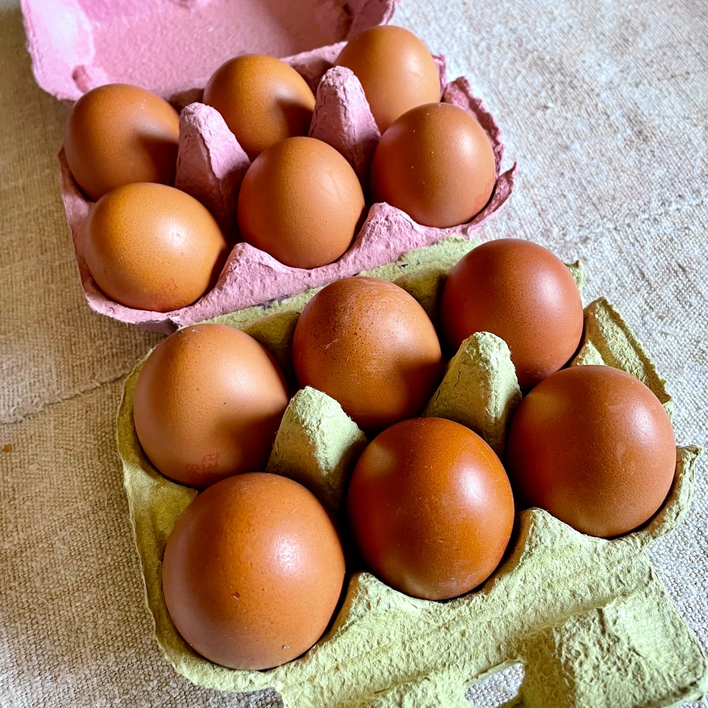 12x Oxfordshire Free Range Eggs