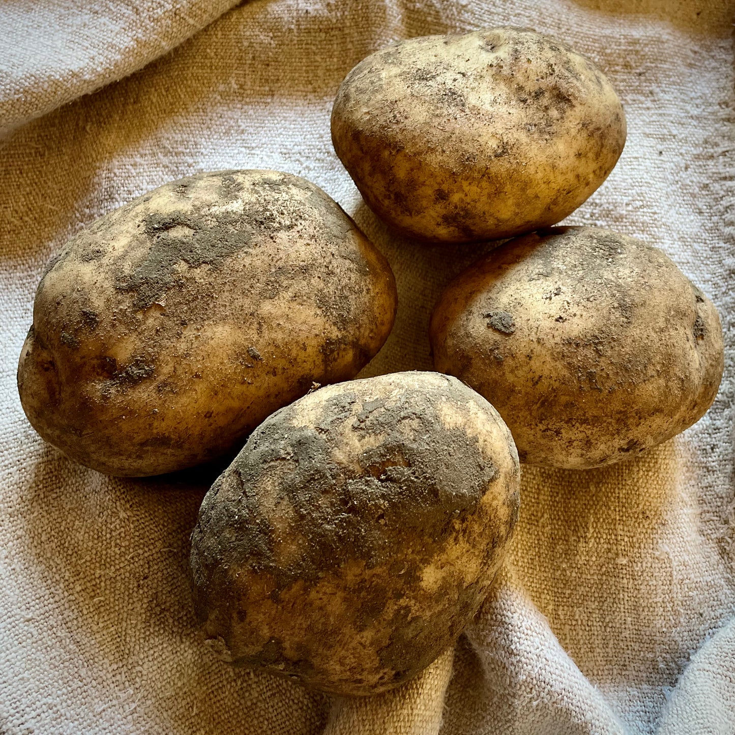 Local Saxon Potatoes (Out Of Season)