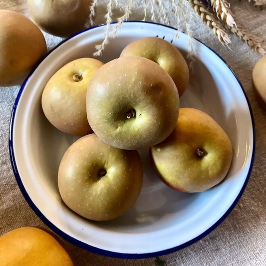 Local Russet Apples