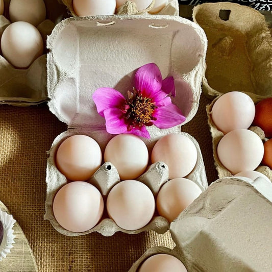 6x Buckinghamshire Duck Eggs (Unavailable)