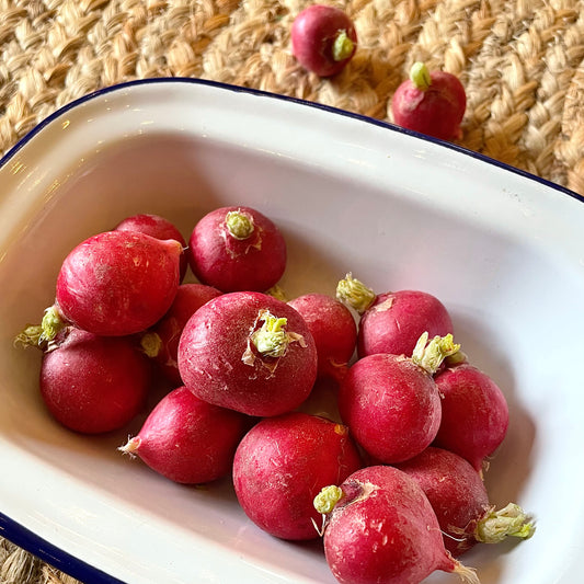 Radish (Out Of Season)