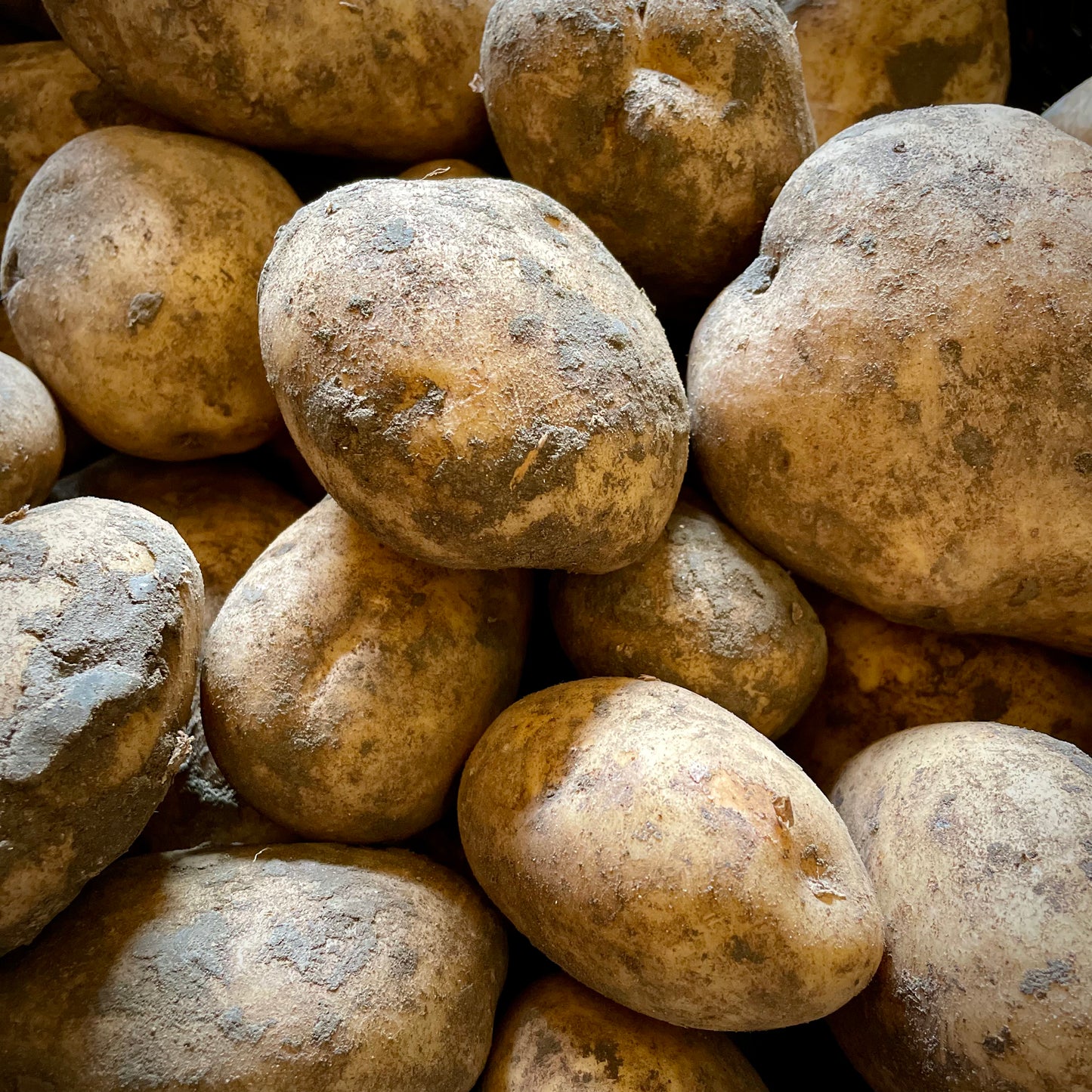 Local Saxon Potatoes (Out Of Season)